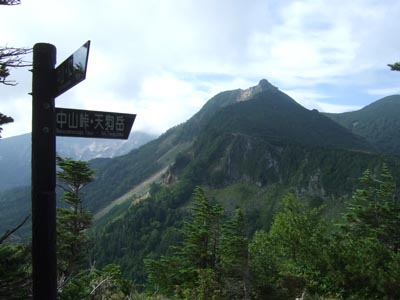 c0011862_935142.jpg