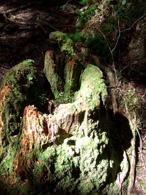 c0011862_9373780.jpg