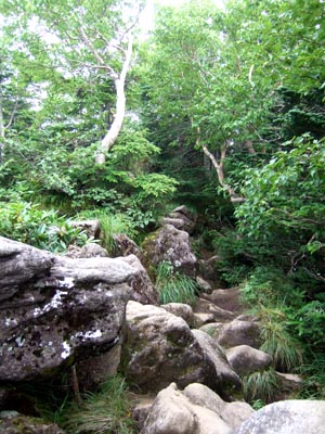 c0011862_9384255.jpg