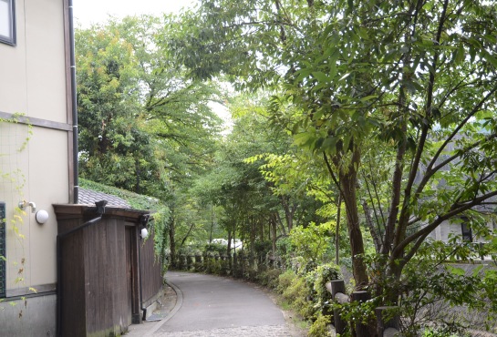 c0186463_18514755.jpg