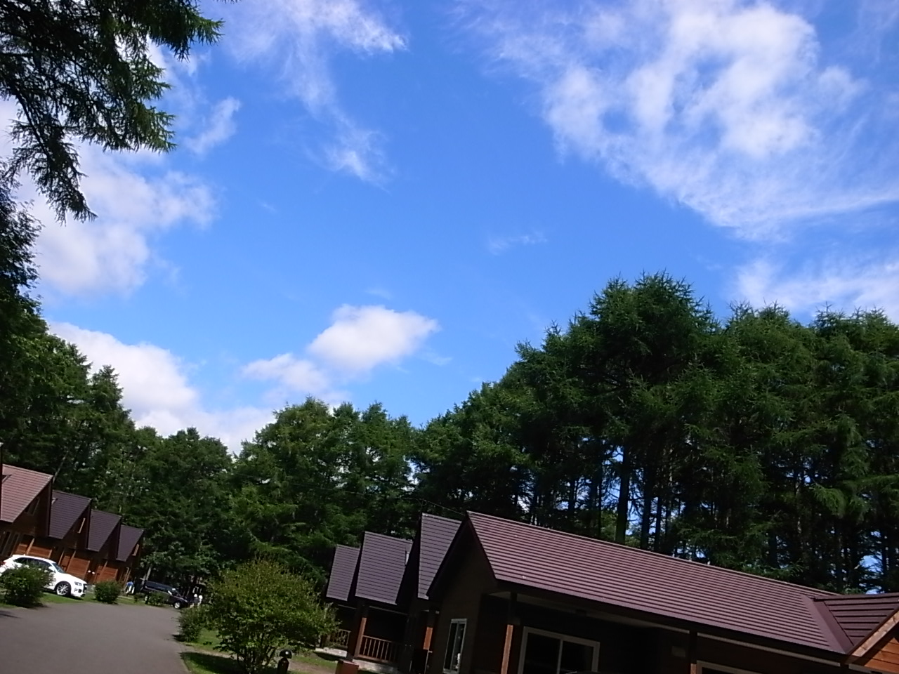 f0134963_22263726.jpg
