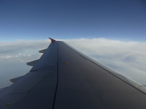 e0058665_0175645.jpg