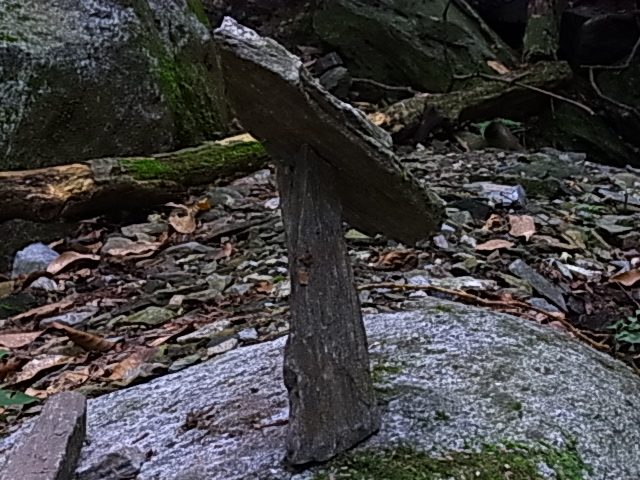 e0208965_6102748.jpg