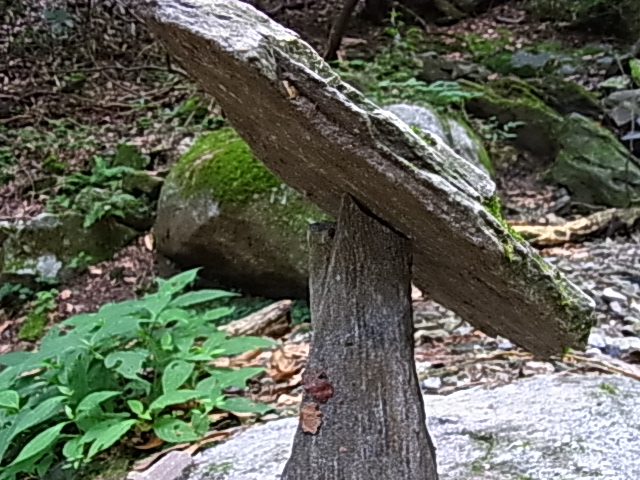 e0208965_6104065.jpg
