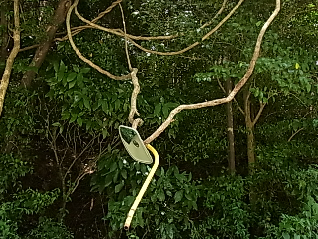 e0208965_6171274.jpg