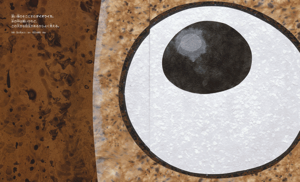 e0160269_6513975.gif