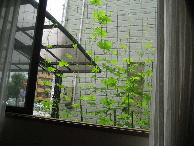 e0106372_1053626.jpg