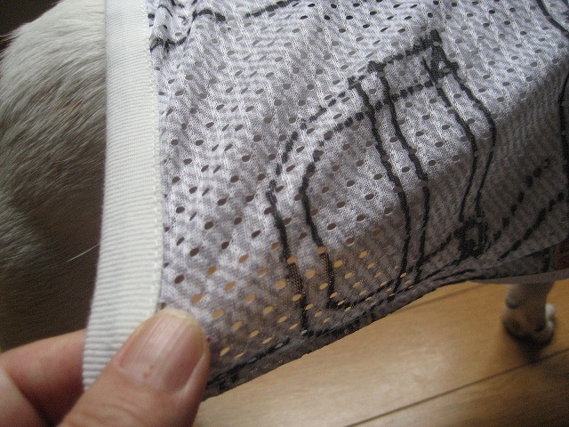 e0106372_107299.jpg