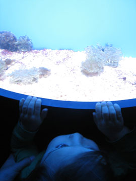 f0068883_15392717.jpg
