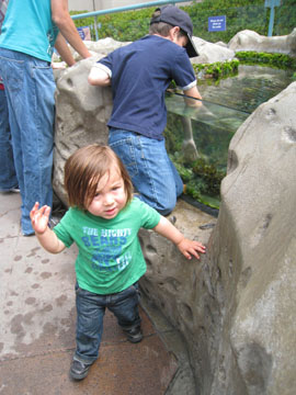 f0068883_1539472.jpg