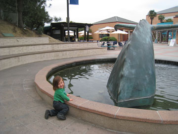 f0068883_1539839.jpg