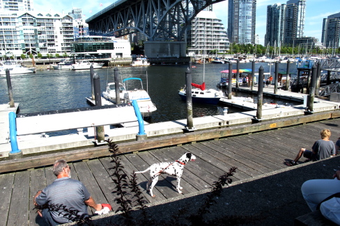 d0129786_526867.jpg