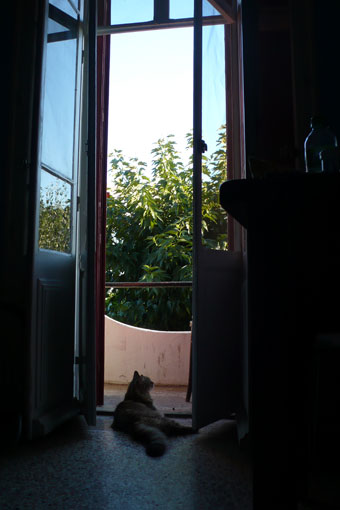 b0107891_63251100.jpg