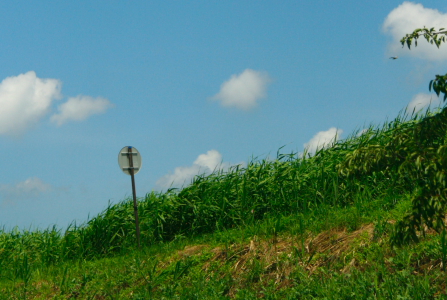 d0133693_19231271.jpg