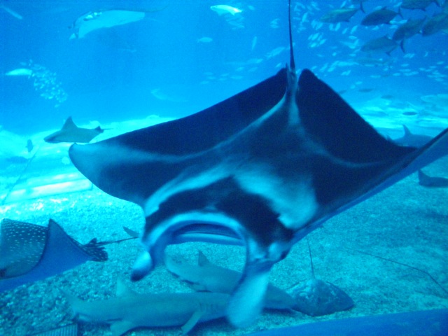 c0193396_1895475.jpg