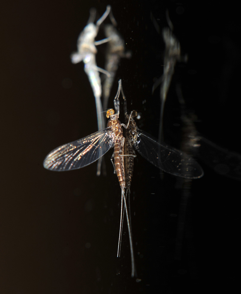 d0163696_132247.jpg