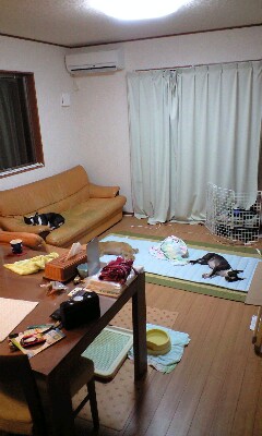 c0094999_356217.jpg