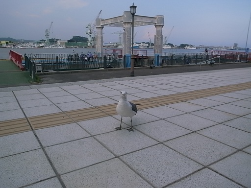 e0043700_2216514.jpg