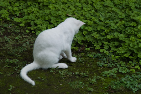 f0239100_22573336.jpg