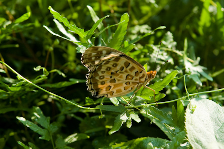 f0239100_23134072.jpg