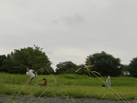 a0134004_2361350.jpg