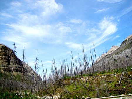 b0051109_10362642.jpg