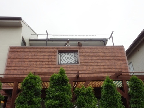 e0193822_22243849.jpg