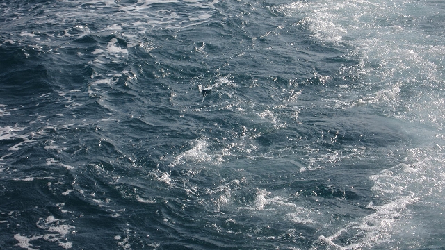 a0132631_1531072.jpg