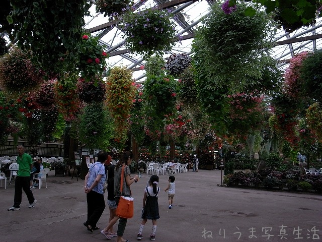 a0009142_15415692.jpg
