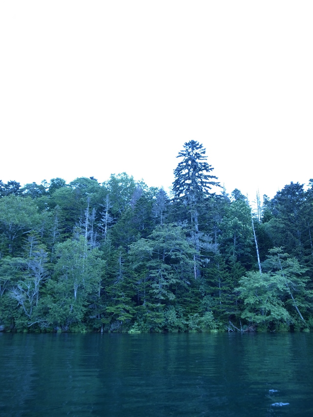 b0219843_19565514.jpg
