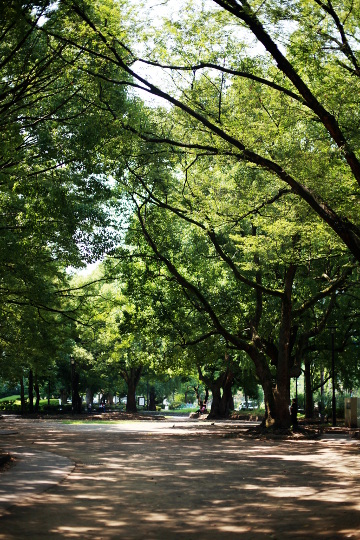 d0008146_2348119.jpg