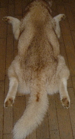e0121548_184637.jpg