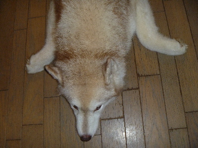 e0121548_1847679.jpg