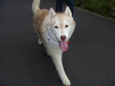 e0121548_19101875.jpg