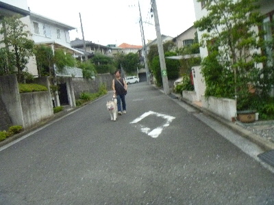 e0121548_19111683.jpg