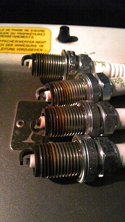 f0000652_285667.jpg