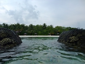 f0190653_13484562.jpg