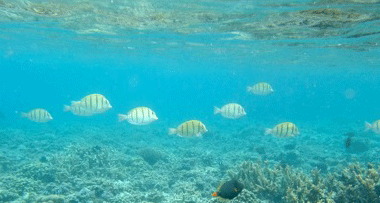 f0190653_13491029.gif