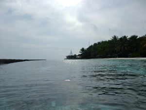 f0190653_1349420.jpg