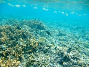 f0190653_1349773.jpg