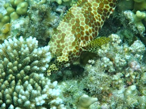 f0190653_13504564.jpg