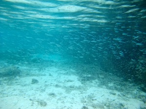 f0190653_13505792.jpg