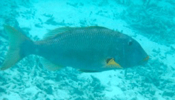 f0190653_13512314.gif