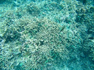 f0190653_13513574.jpg