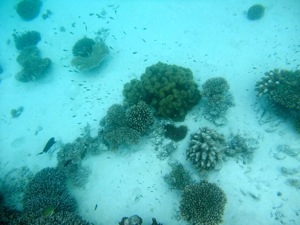 f0190653_13514735.jpg