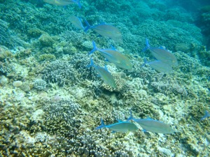 f0190653_13561516.jpg