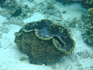f0190653_13564988.jpg