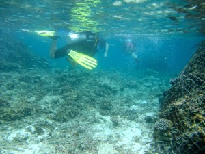 f0190653_1356946.jpg