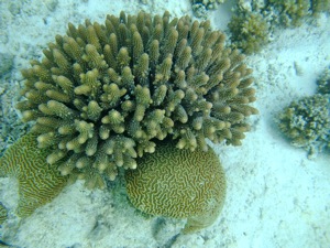 f0190653_135778.jpg