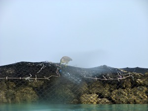 f0190653_13592482.jpg